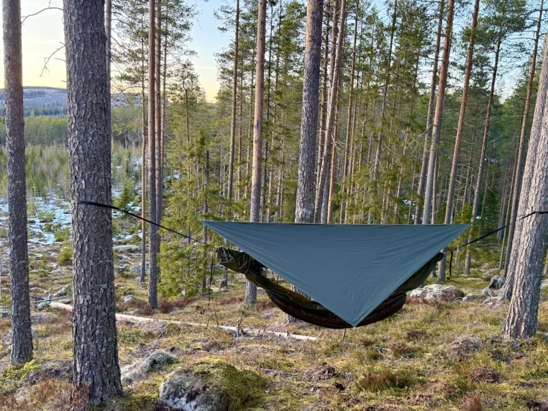 Momo Jord Asym Tarp set up in forest