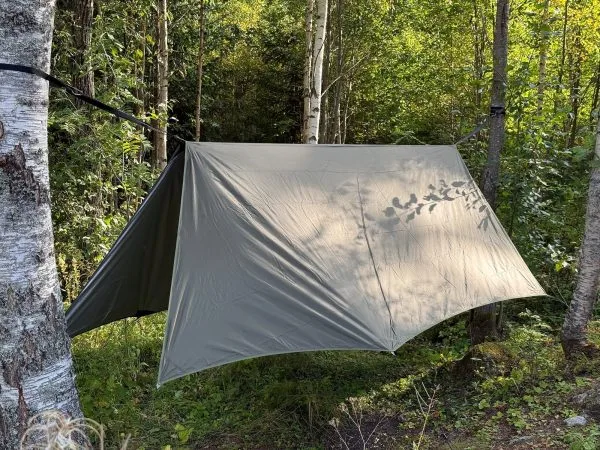 Momo Jord Winter Tarp pitched between birches Olive winter tarp pitched over a hammock between birch trees